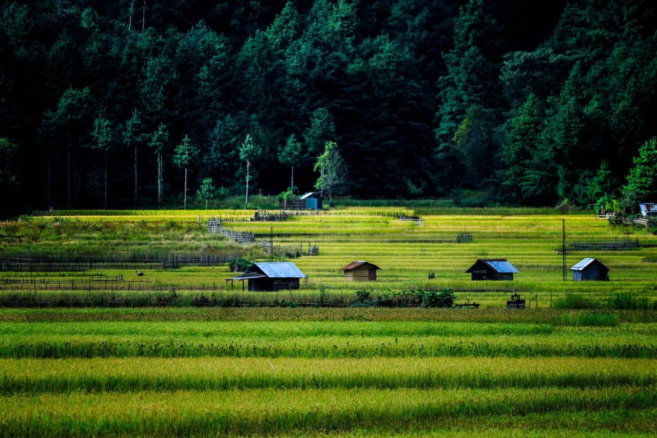 Weekend Getaway to Valparai 3